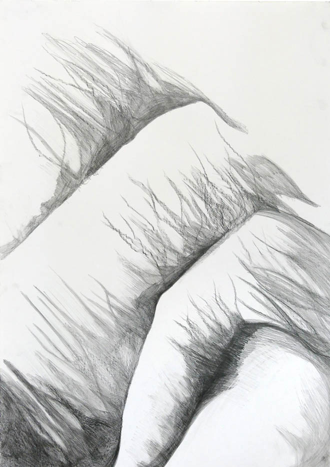 Memorial For The Unknown Iceberg